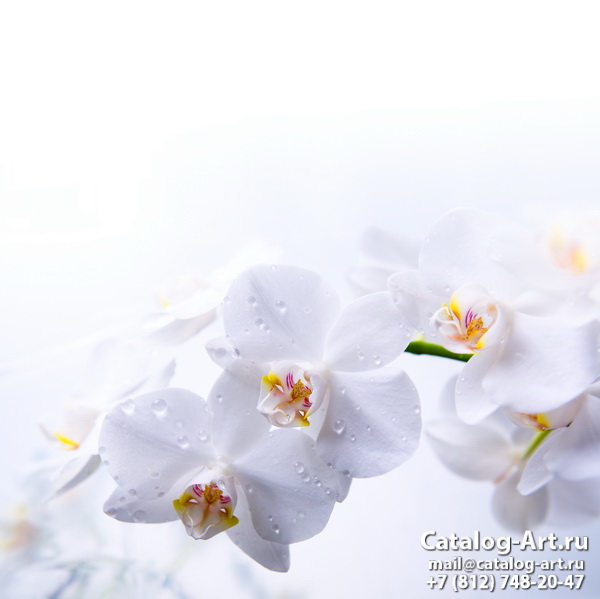 Натяжные потолки с фотопечатью - Белые орхидеи 52